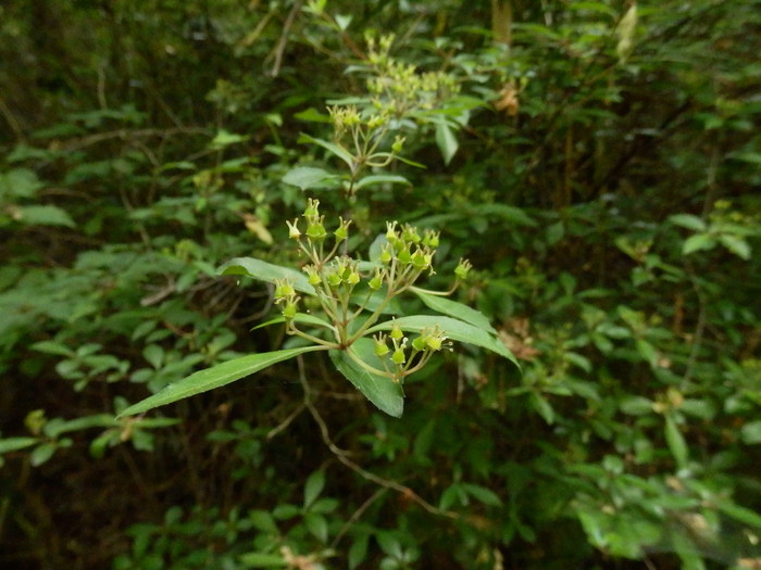 f0219710_74469.jpg