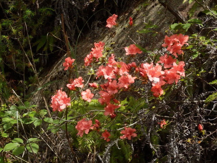 f0219710_783287.jpg