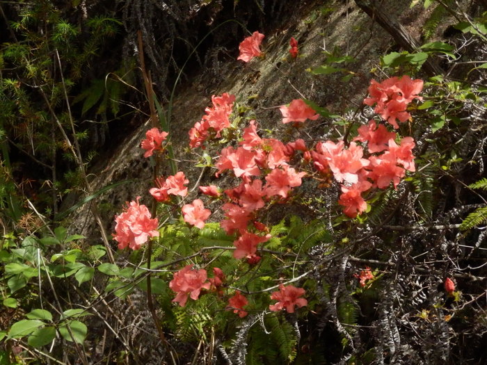 裏山登れば_f0219710_783287.jpg