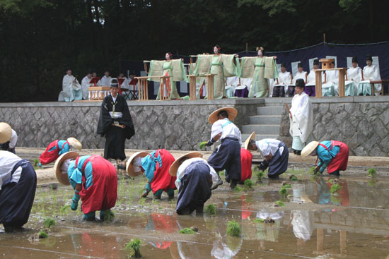 伏見稲荷 田植祭_e0048413_21423122.jpg