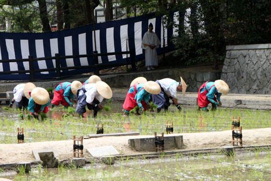伏見稲荷 田植祭_e0048413_21424357.jpg
