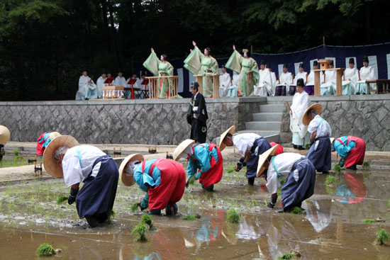 伏見稲荷 田植祭_e0048413_21425663.jpg