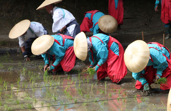 伏見稲荷 田植祭_e0048413_21432114.jpg