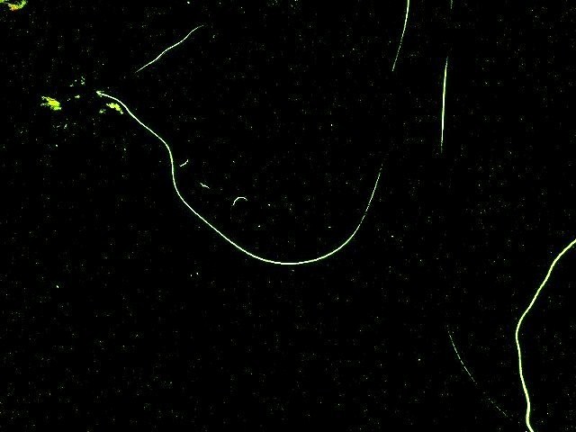 f0182513_23164158.jpg