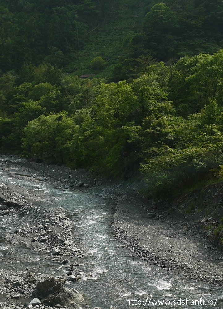 大人の遠足 静岡県梅ヶ島「隠れ茶」の里へno.1_a0169924_22355742.jpg