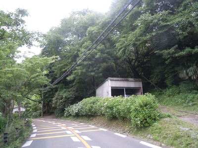 b0157528_21171849.jpg