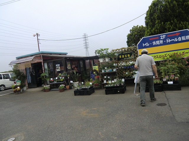 a0006033_1418793.jpg