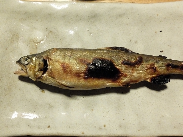 初物_f0050534_23251628.jpg