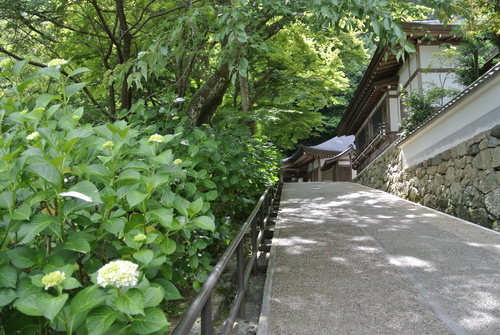 d0170835_7553945.jpg
