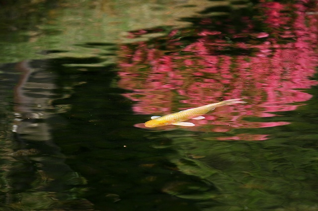 a0242438_18435042.jpg