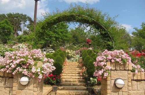 b0178339_8171361.jpg