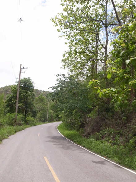 f0292440_09581.jpg