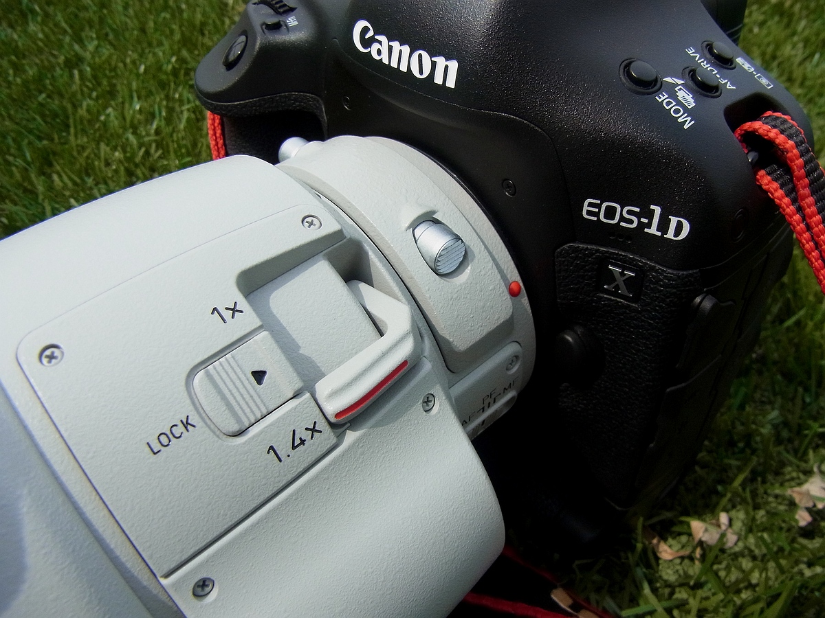 ノジマ相模原ライズ Part2 (EF200-400) : EOS と kotodaddy ノジマ相模原ライズ Part2 (EF200-400) : EOS と kotodaddy