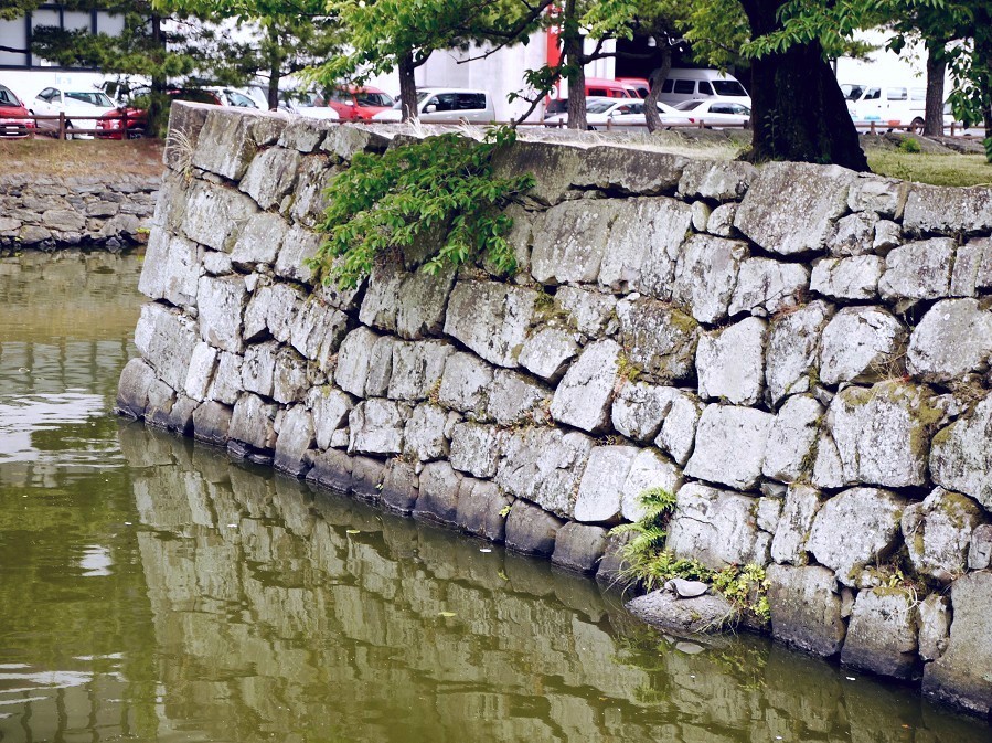 　　和歌山城北堀にて　　２０２４-０６-１４　００：００　　（２０１３年６月撮影）_b0093754_22395345.jpg