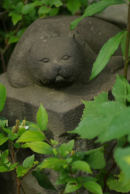 下町某所　　お猫様とお犬様_c0080357_135822.jpg