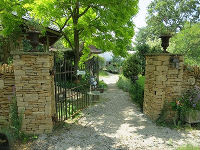 e0170558_1676.jpg