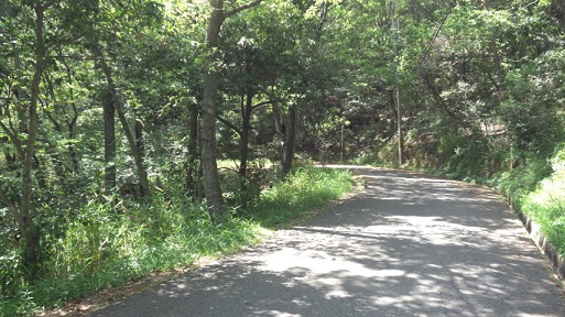 b0113959_16261598.jpg