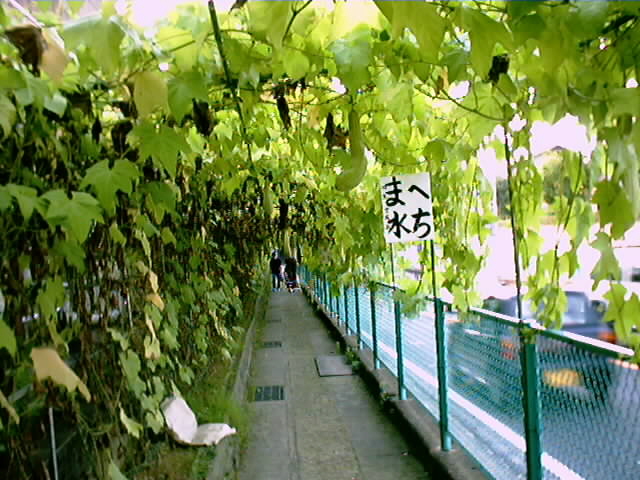 矢野へちま通り（2003）_b0095061_9572997.jpg