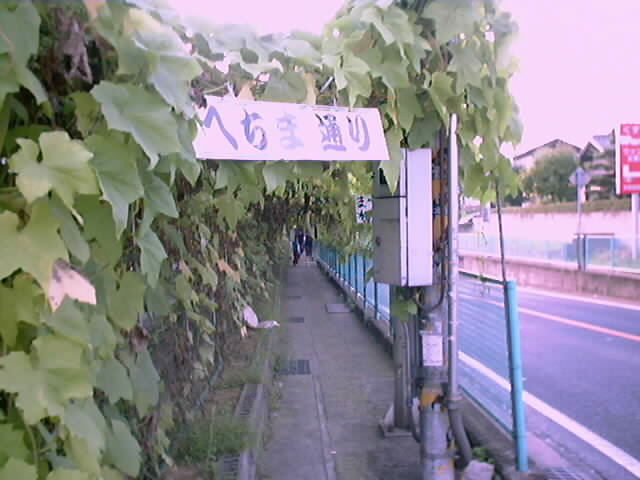 矢野へちま通り（2003）_b0095061_9573167.jpg