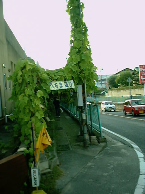 b0095061_9585593.jpg