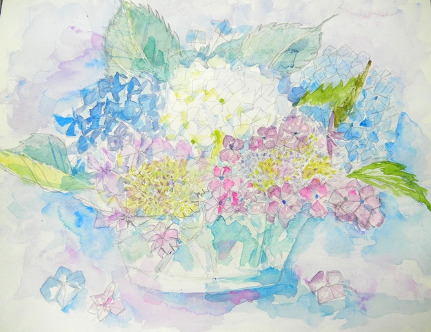 ’13,6,11(火)今日も紫陽花描くよ~!_f0060461_10471245.jpg