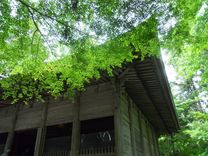 a0018364_10542191.jpg