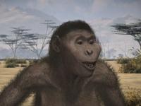 『病の起源 第1集 がん』(ドキュメンタリー)_b0189364_116034.jpg