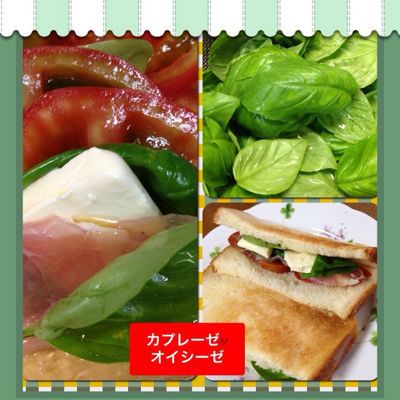 カプレーゼ♪オイシーゼ(*☻-☻*)_e0136066_949346.jpg