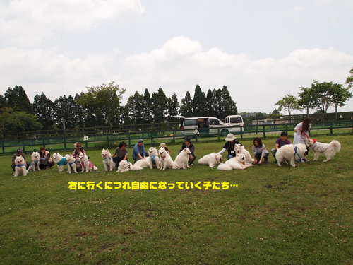 d0251768_1319255.png