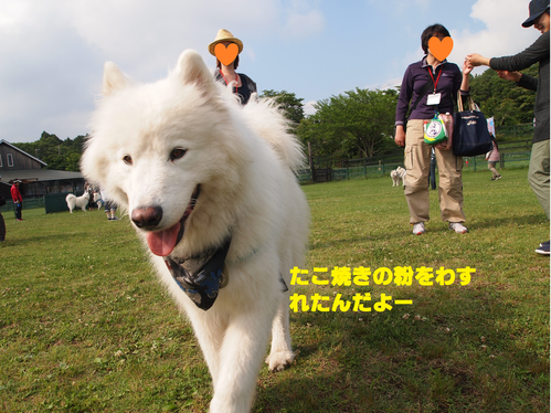 d0251768_13273340.png