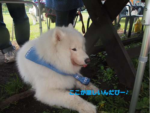 d0251768_1330374.png