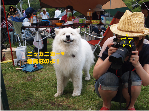 d0251768_13312874.png