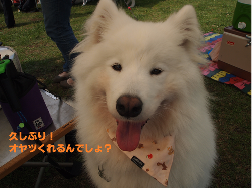 d0251768_13373158.png