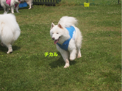 d0251768_14215629.png