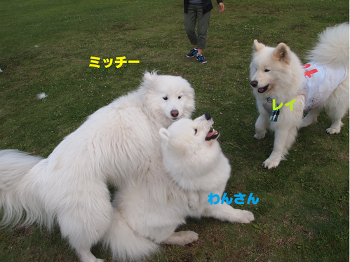 d0251768_14283510.png