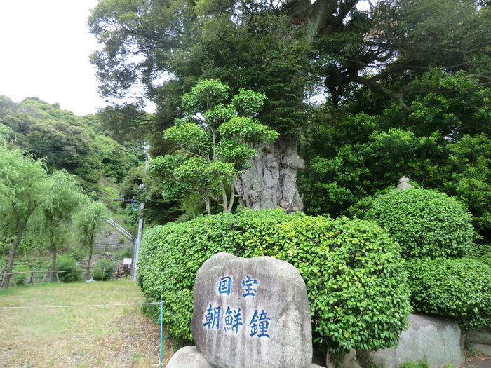 No295 敦賀半島　西方ガ岳～サザエガ岳縦走_b0185573_14552250.jpg