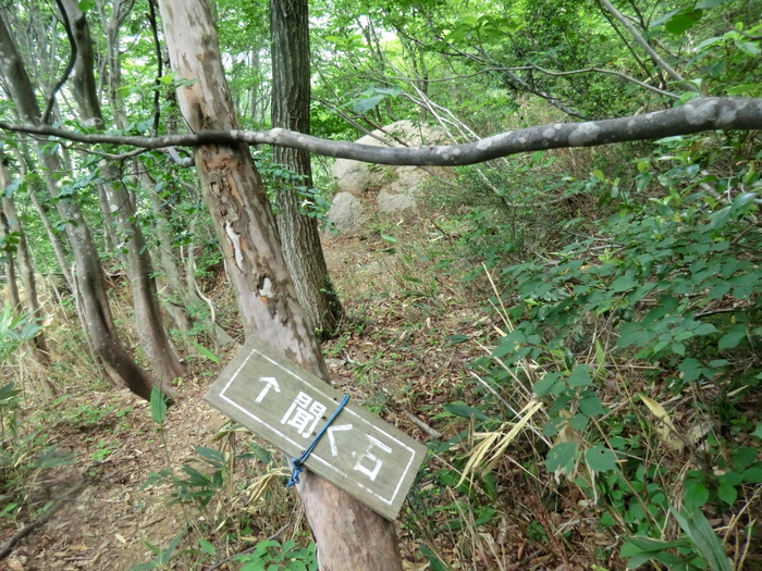 b0185573_18131469.jpg