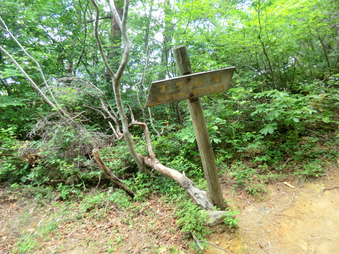 No295 敦賀半島　西方ガ岳～サザエガ岳縦走_b0185573_18154820.jpg