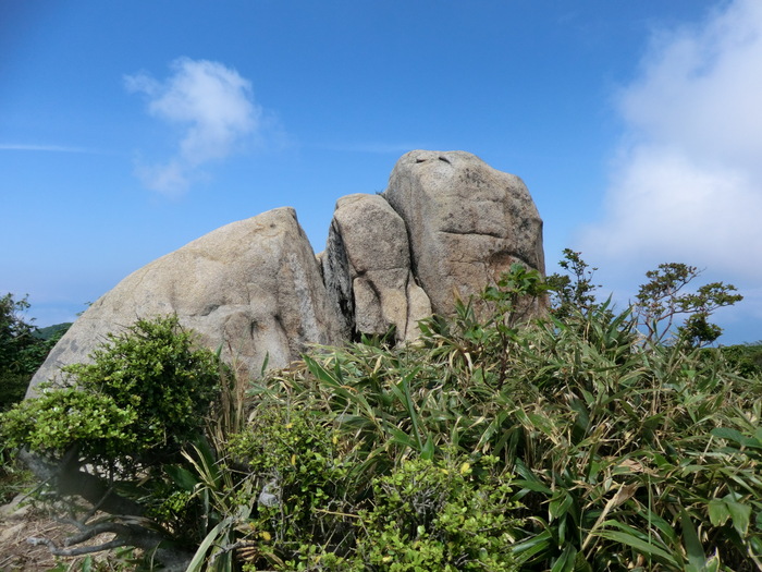 No295 敦賀半島　西方ガ岳～サザエガ岳縦走_b0185573_2113364.jpg