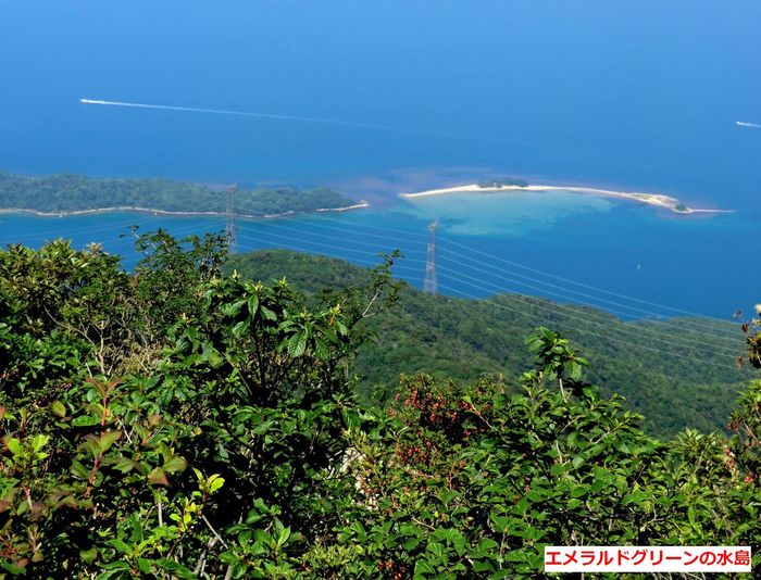 No295 敦賀半島 西方ガ岳 サザエガ岳縦走 みちくさおじさん山を歩く No295 敦賀半島 西方ガ岳 サザエガ岳縦走 みちくさおじさん山を歩く