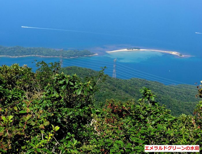 No295 敦賀半島　西方ガ岳～サザエガ岳縦走_b0185573_8453615.jpg