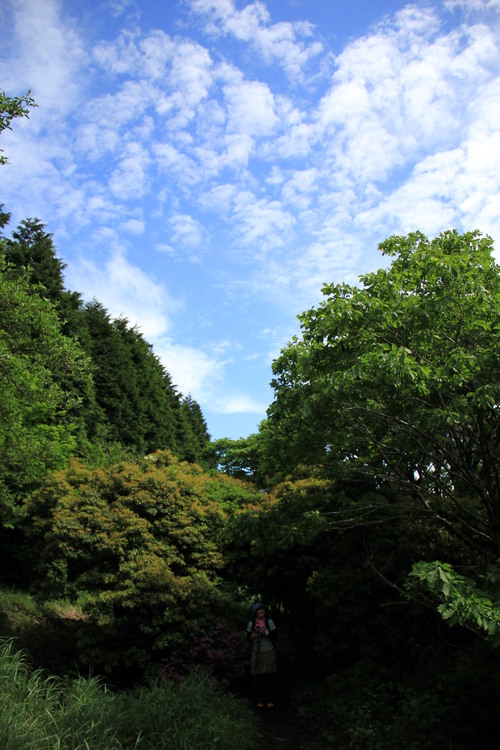 坊ガツル～平治岳（山ガールデビュー戦！）　その１_b0286982_10445464.jpg