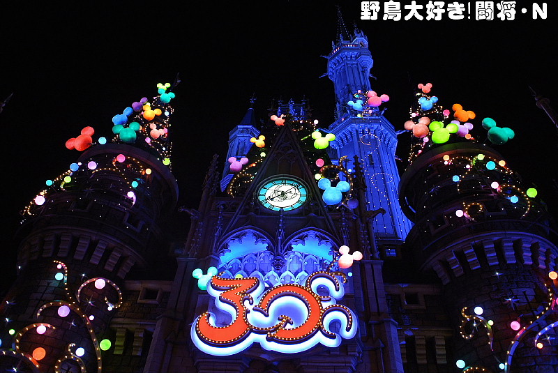 2013東京ディズニーランドへ_f0059882_16443554.jpg