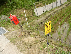 6月11日の田んぼ(月光原小・西根小)_d0247484_12522276.jpg