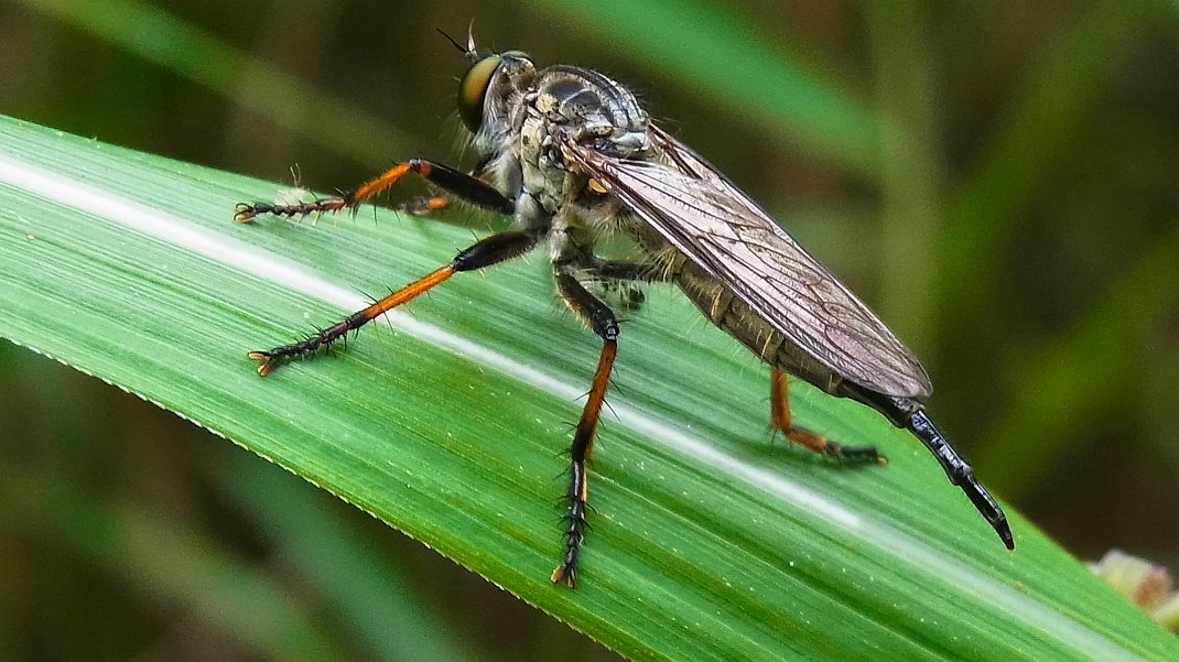 a0152692_18202158.jpg