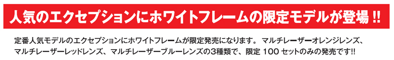 RUDYPROJECT EXCEPTION(エクセプション)2013年日本限定100本スペシャルエディション入荷!_c0003493_11366100.jpg