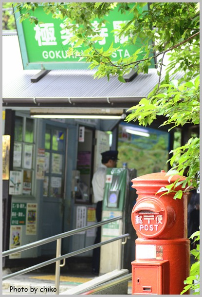 雨のあじさい～鎌倉♪_c0165003_18384465.jpg