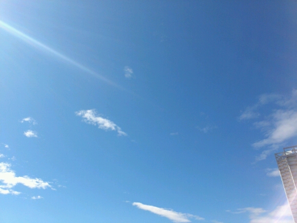 久しぶりの青空_b0009106_8294821.jpg