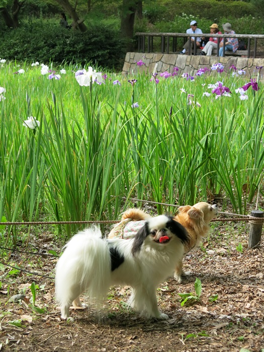 c0200916_22213.jpg