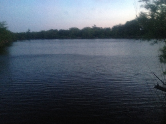 a0242423_22233016.jpg